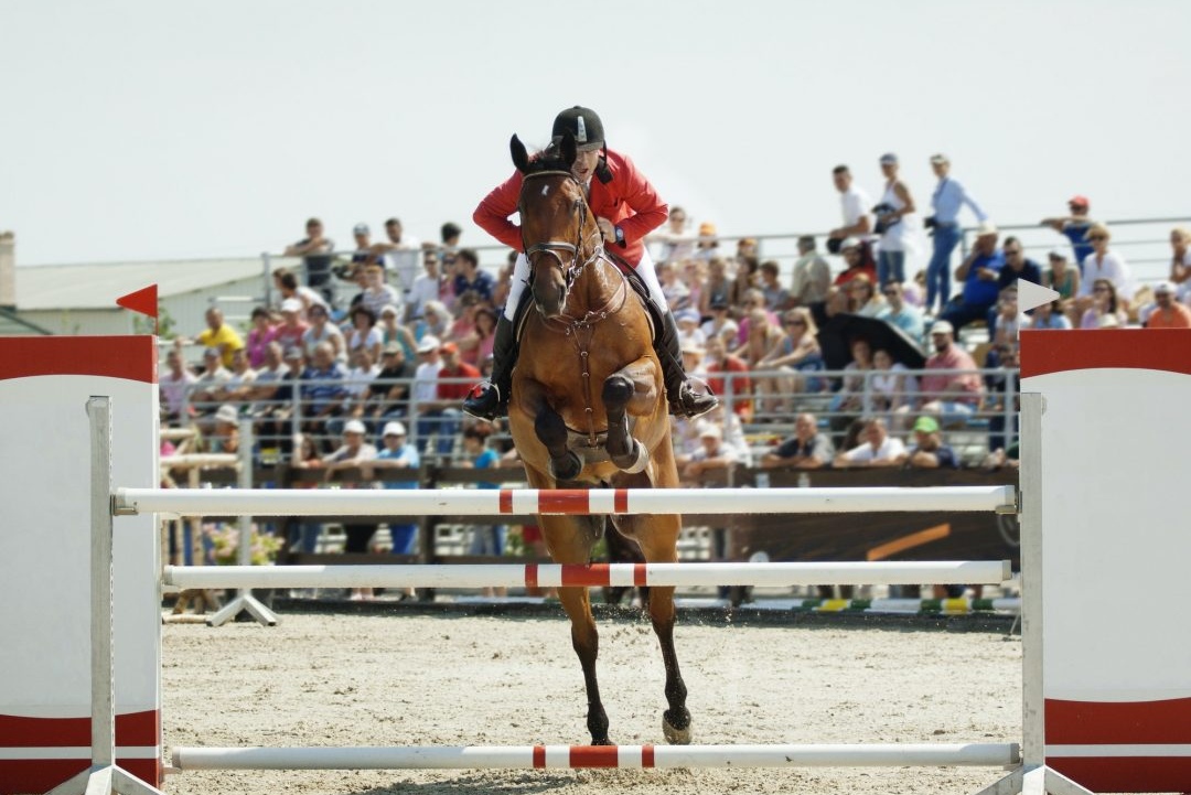 Рыцарский турнир